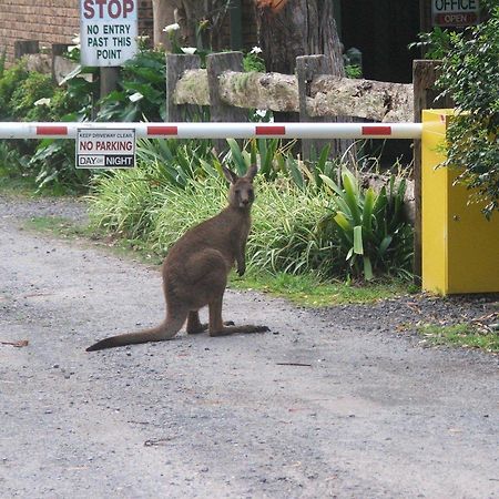 Jervis Bay Cabins & Hidden Creek Campsite Woollamia ภายนอก รูปภาพ