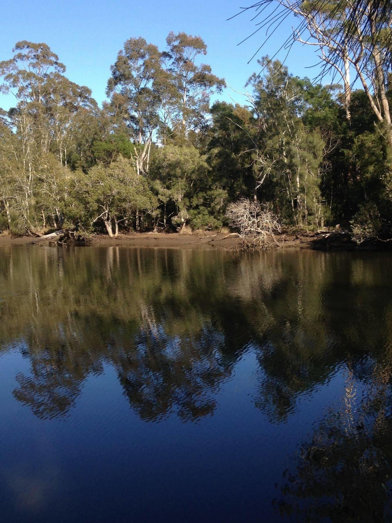 Jervis Bay Cabins & Hidden Creek Campsite Woollamia ภายนอก รูปภาพ